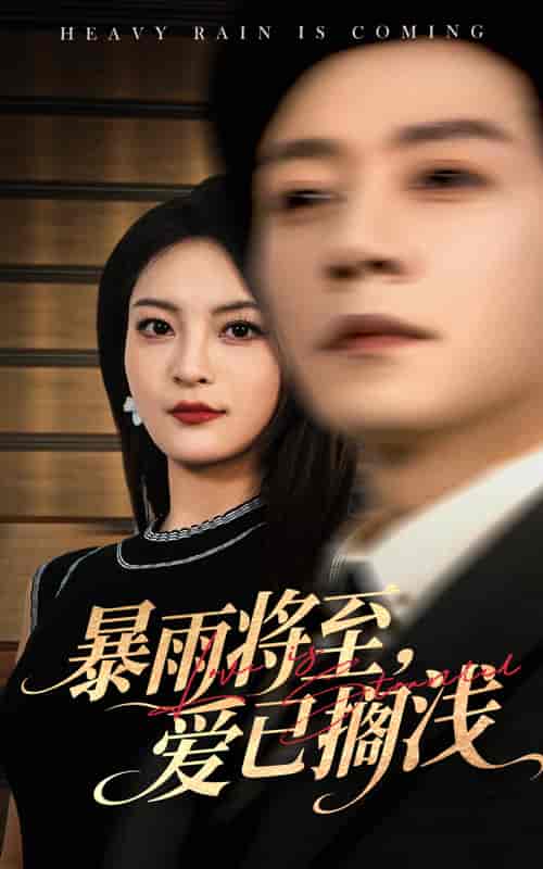 短剧《暴雨将至爱已搁浅》 免费高清短剧全集欣赏，完整版在线随心享  第1张