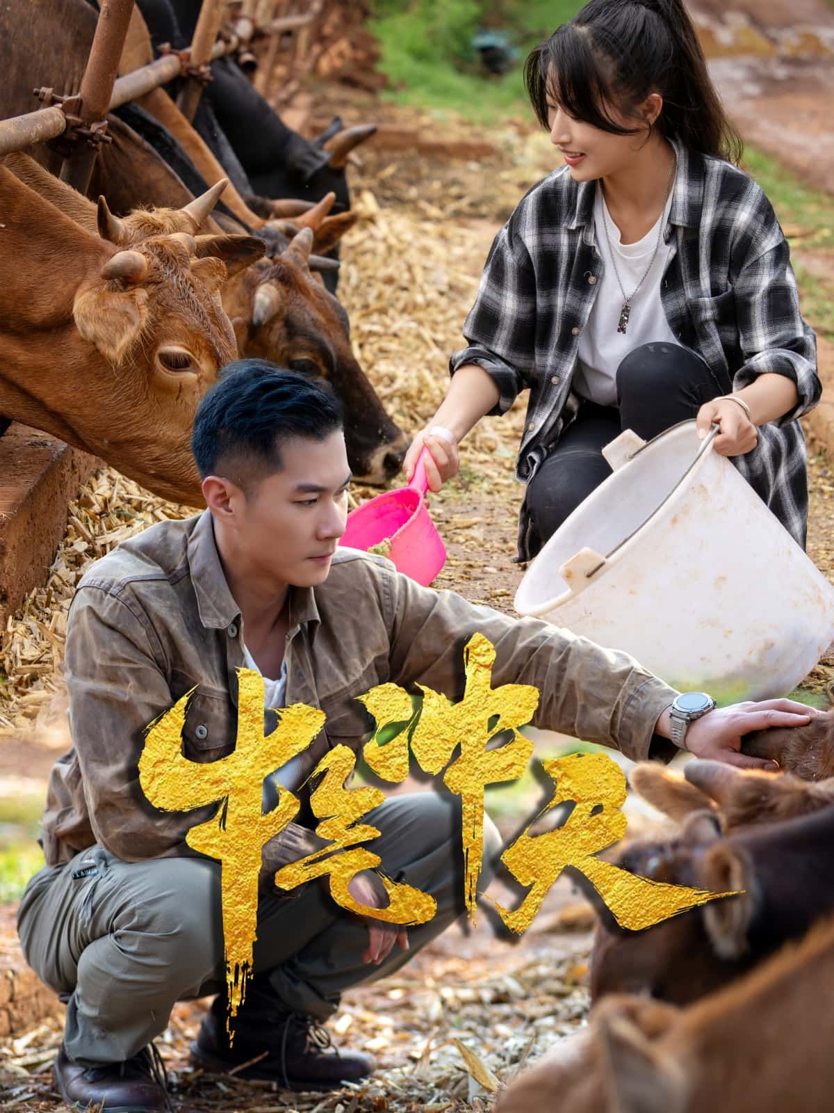 短剧牛气冲天高清全集完整版，免费在线看，精彩剧情即刻畅享！  第1张