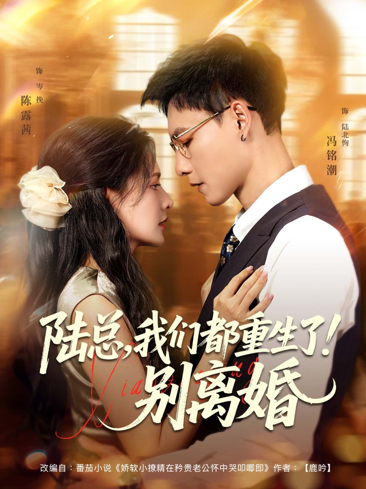 短剧陆总，我们都重生了！别离婚男女主重生挽回婚姻，在线播放高清完整全集无删减版。