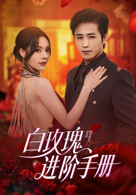 白玫瑰进阶手册全集免费看，高清在线播放，大结局已完结，速来追更！