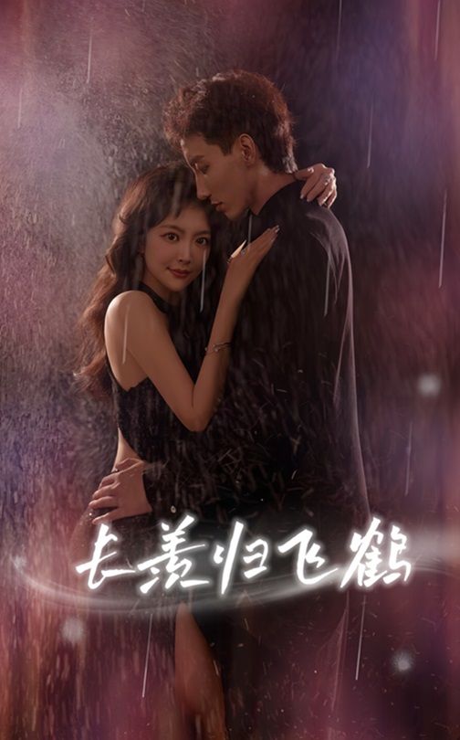 短剧长羡归飞鹤HD高清全集完整版，免费在线观看。  第1张