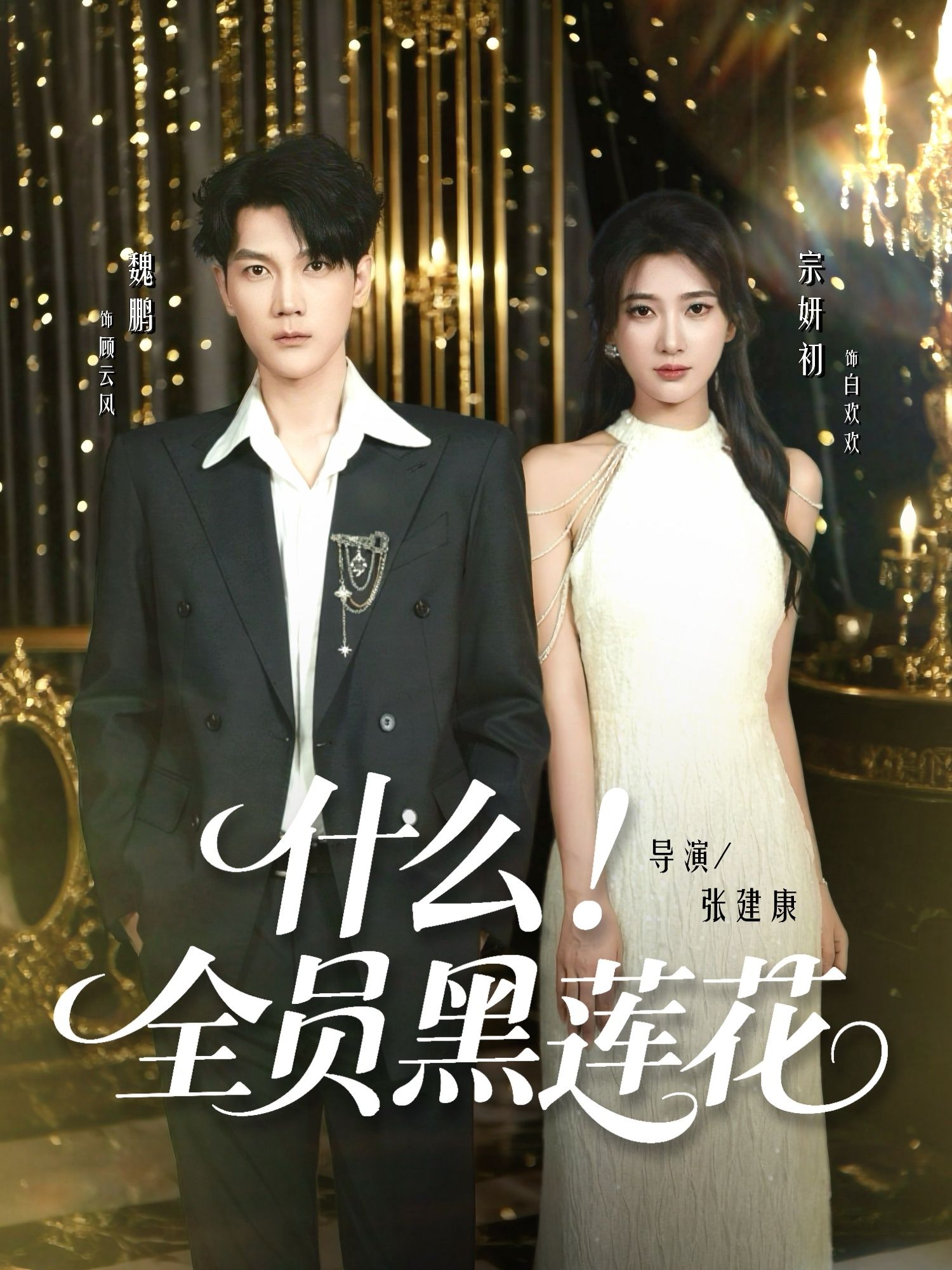 全员黑莲花1080P高清完整全集无删减版在线观看，全员黑莲花的极致拉扯，高清无删减，全集在线看！  第1张