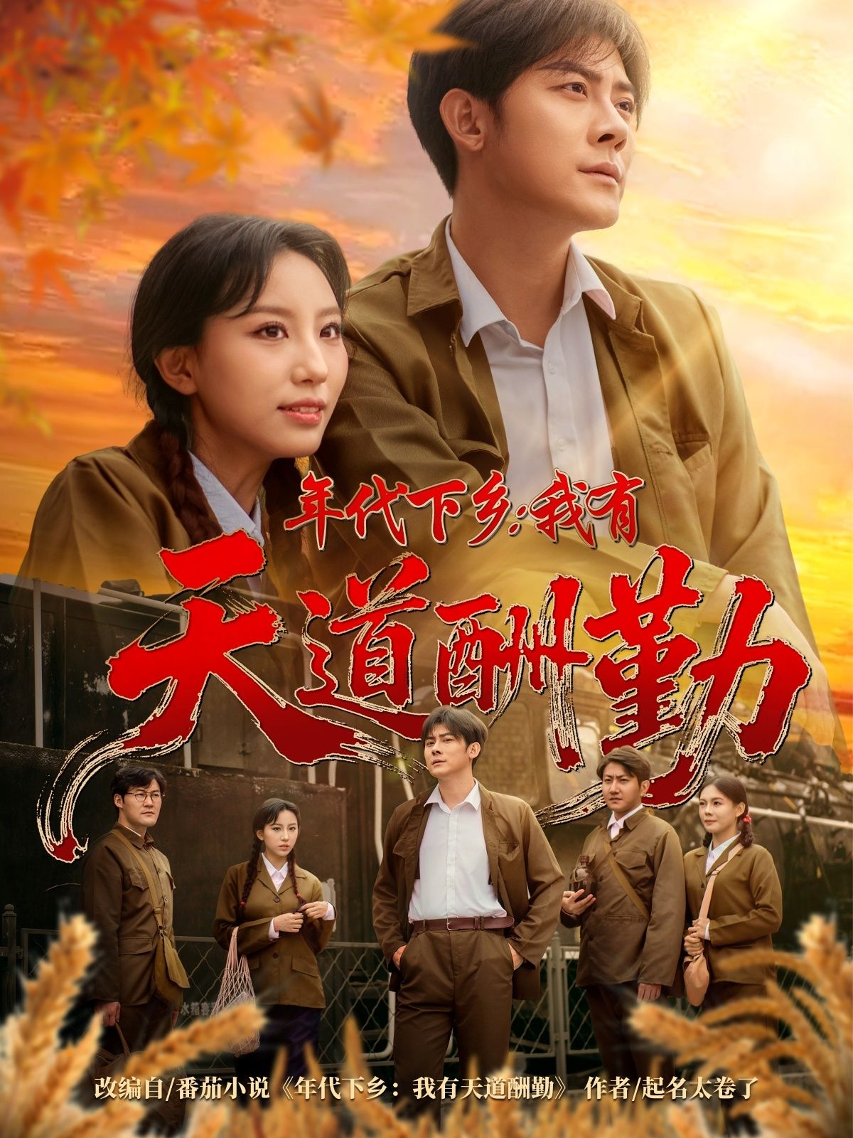 年代下乡短剧天道酬勤超高清全集在线看，HD画质完整版，热血奋斗不负韶华！  第1张