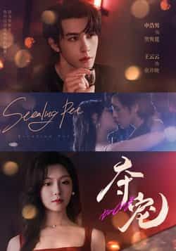 短剧夺宠高清无删减全集！剧情高能全员飙戏，立即在线观看，解锁全部精彩～