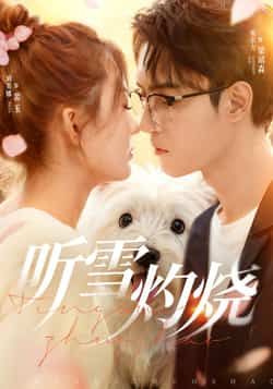 热门短剧听雪灼烧（68集）希尔力、刘美娜主演，全集完整版免费播放，百度网盘夸克网盘资源分享下载。  第1张