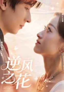 热门短剧逆风之花全集完整版免费稳定在线观看,未删减版资源百度网盘夸克网盘免费分享下载。 第1张 热门短剧逆风之花全集完整版免费稳定在线观看,未删减版资源百度网盘夸克网盘免费分享下载。 第1张