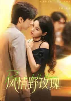 热门短剧风情野玫瑰全集未删减，免费无广告在线观看，百度夸克网盘免费资源分享下载。  第1张