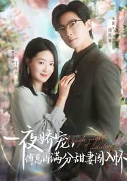 热门短剧一夜娇宠，傅总的满分甜妻闯入怀全集完整版免费稳定在线观看，未删减版百度网盘夸克网盘资源分享下载。