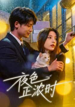 热门短剧夜色正浓时全集实时更新，免费在线观看未删减版，百度夸克网盘资源分享下载。  第1张