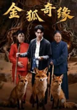 热门短剧金狐奇缘全集完整版免费无水印在线观看未删减，百度网盘、夸克网盘资源分享下载。