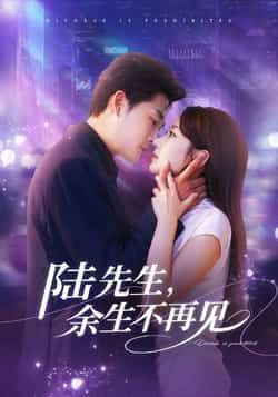 热门短剧陆先生，余生不再见全集高清未删减，免费在线观看，百度网盘夸克网盘资源分享下载。