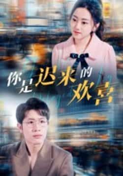 热门短剧你是迟来的欢喜全集更新完毕，免费在线观看未删减版，百度夸克网盘资源分享下载。  第1张