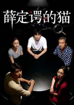 热门短剧薛定谔的猫全集完整版免费稳定在线观看，未删减版资源，百度夸克网盘免费下载分享。  第1张