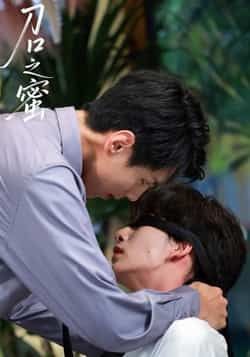 热门短剧刀口之蜜全集完整版未删减,免费在线观看,百度网盘、夸克网盘资源分享下载。 第1张 热门短剧刀口之蜜全集完整版未删减,免费在线观看,百度网盘、夸克网盘资源分享下载。 第1张