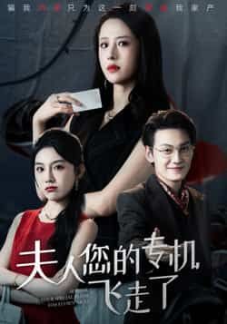 热门短剧《夫人您的专机飞走了》 全集完整版免费在线观看播放未删减版资源，短剧百度网盘夸克网盘资源免费分享下载