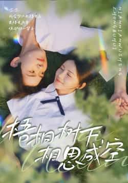 热门短剧梧桐树下，相思成空全集完整版未删减，免费在线观看，百度网盘夸克网盘资源分享下载。  第1张