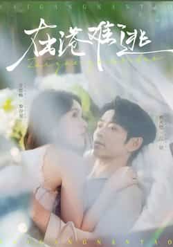 在港难逃全集完整未删减版，免费无广告在线观看，百度网盘、夸克网盘资源分享下载。  第1张