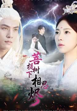 热门短剧菩提树下相思烬全集完整版未删减，免费稳定在线观看，百度夸克网盘资源可下载。  第1张