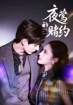 热门短剧夜莺的赌约全集完整版未删减，极速免费在线观看，百度网盘夸克网盘资源分享下载。